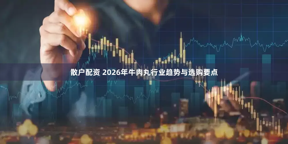 散户配资 2026年牛肉丸行业趋势与选购要点