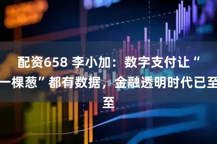 配资658 李小加：数字支付让“一棵葱”都有数据，金融透明时代已至